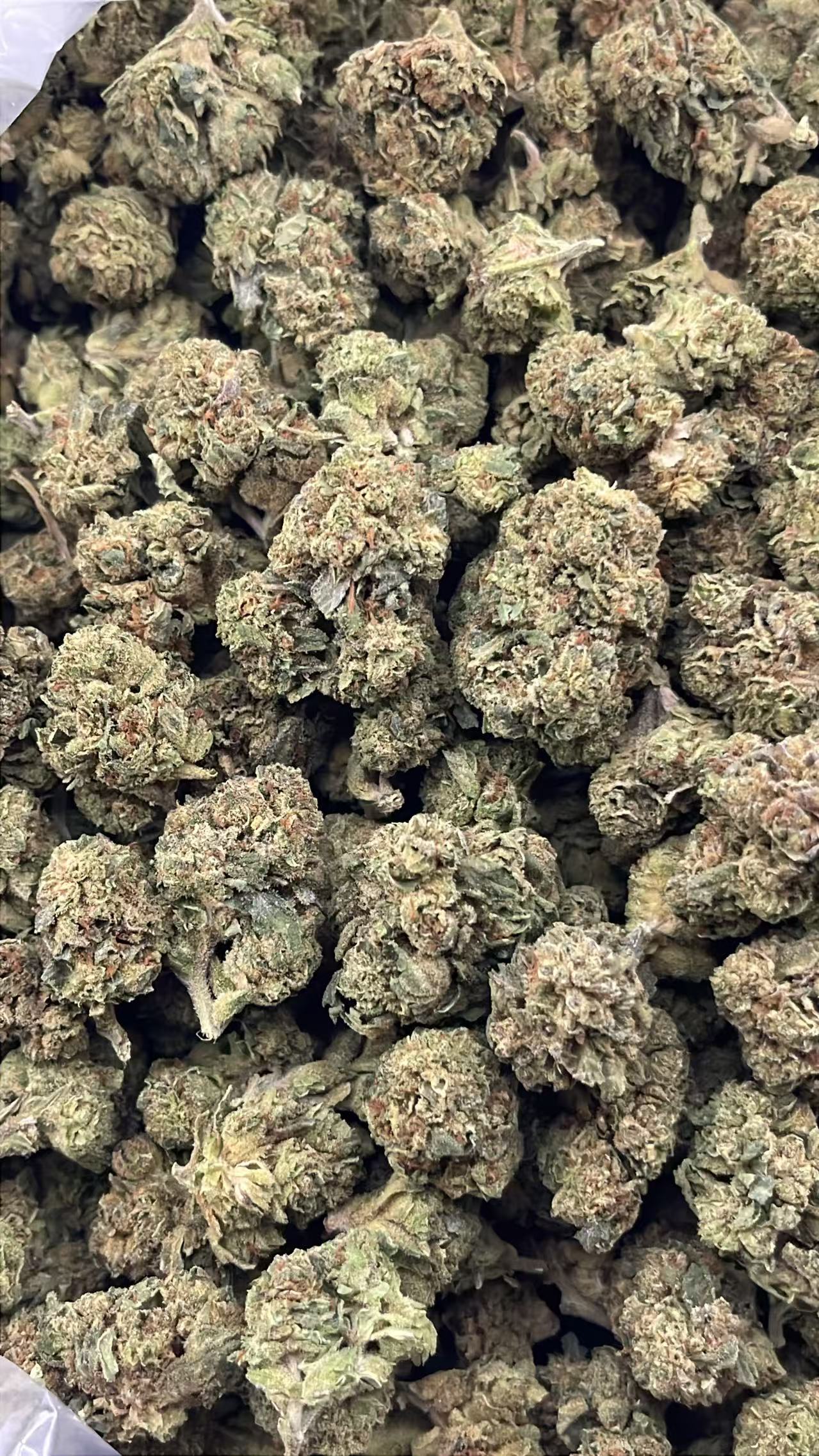CH628-Emerald Haze - Image 3
