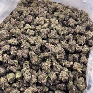 CM625-Purple Pepper Candy