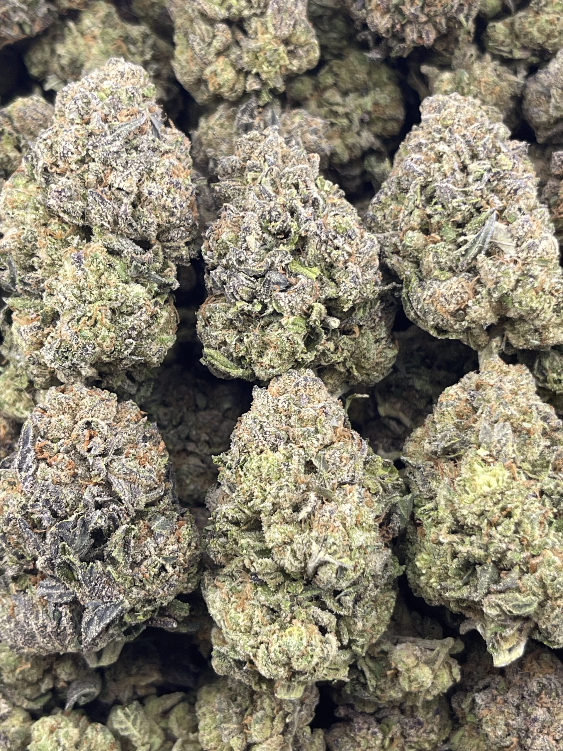 CH610-Purple Cream Cake - Image 3