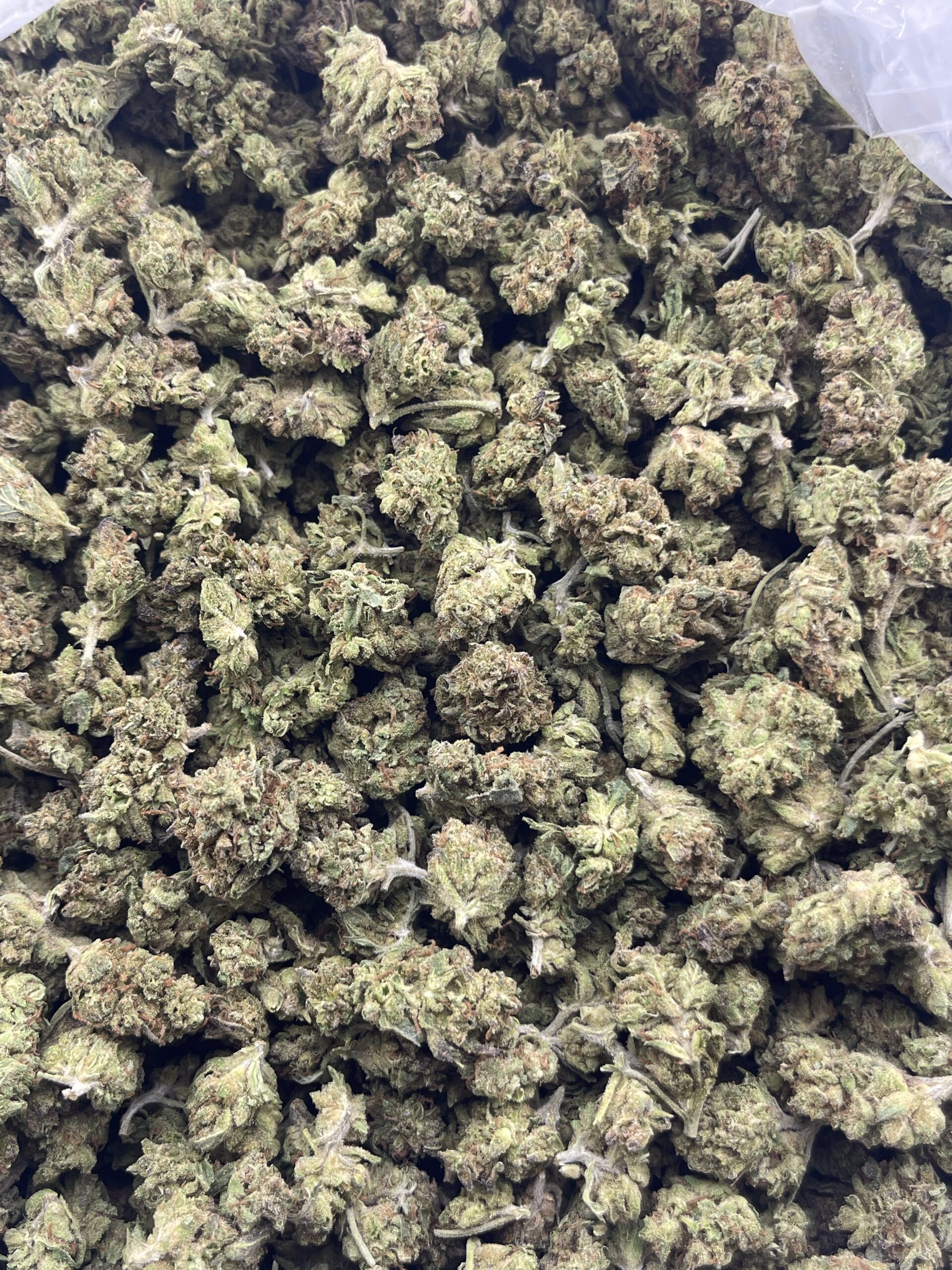 CM607-Sunny Kush Smalls - Image 3