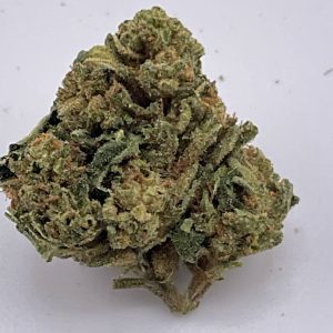 CH627-Green Velvet
