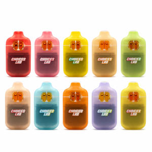 Choice Lab Blinkers Dual Flavor Disposable Vape
