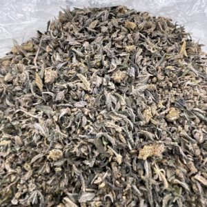 H629-Midnight Frost Trim